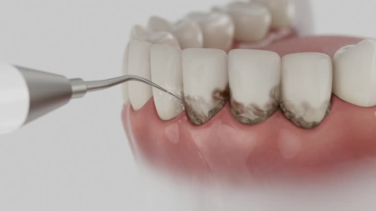 Reliable Dental contractor in Heritage Pines, FL by Dentist Open Now
